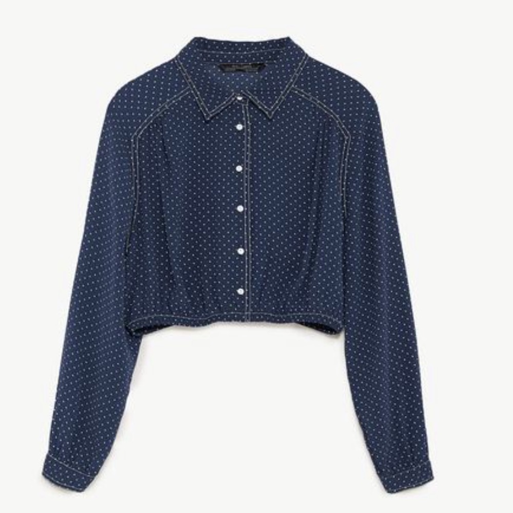 ZARA Cropped Top